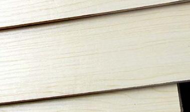 好色先生成人APP背板